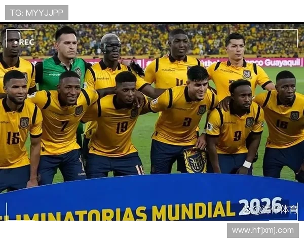 巴西与厄瓜多尔足球赛大名单分析及球员表现展望